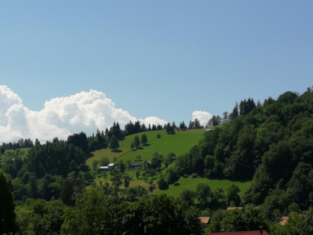 Pensiunea Transilvania Lodge Törcsvár Kültér fotó