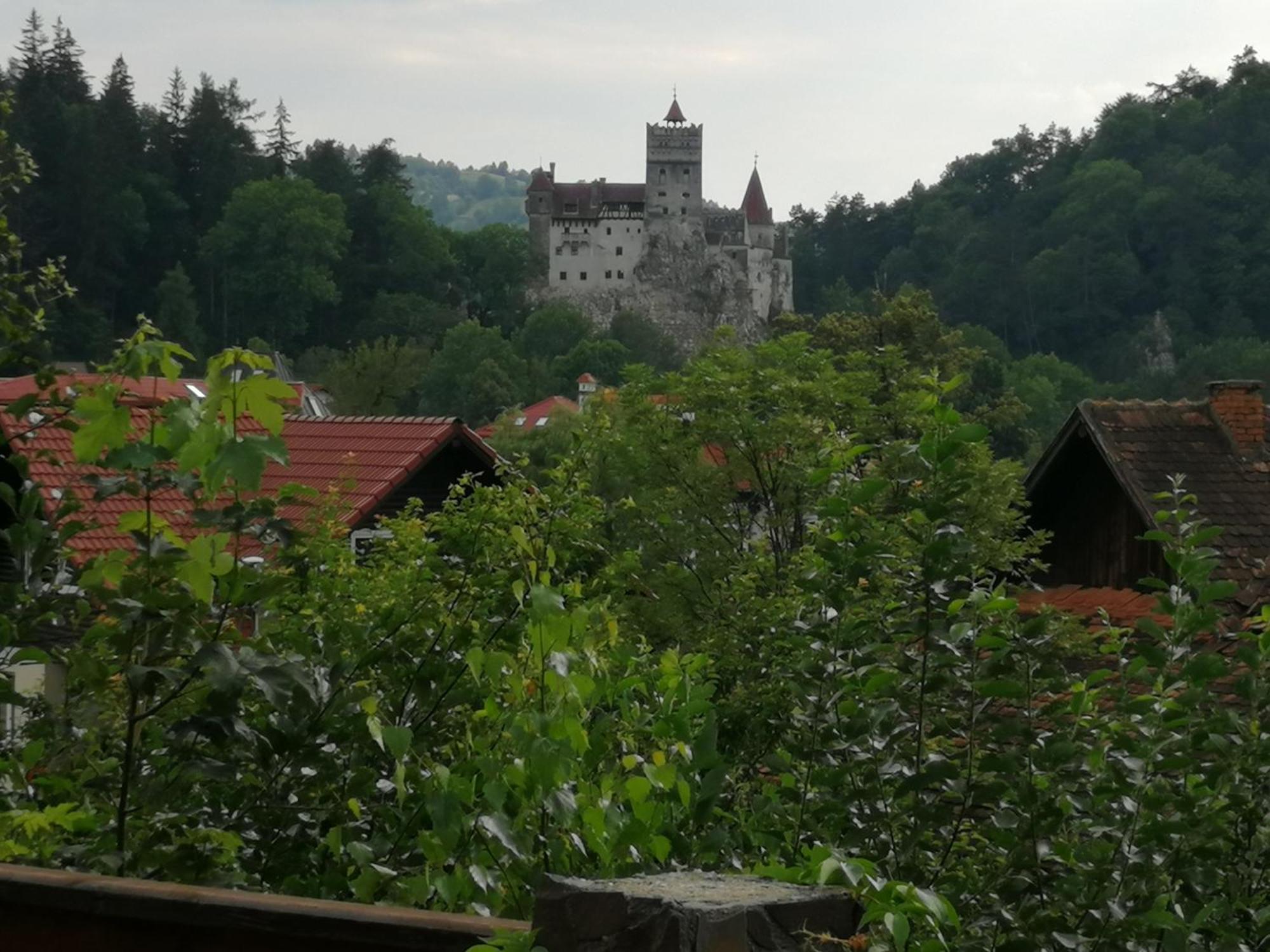 Pensiunea Transilvania Lodge Törcsvár Kültér fotó