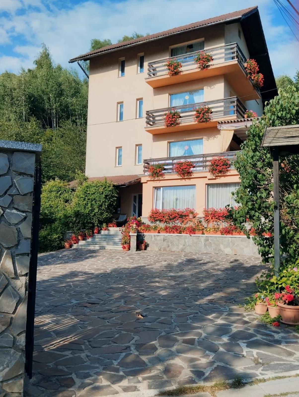 Pensiunea Transilvania Lodge Törcsvár Kültér fotó