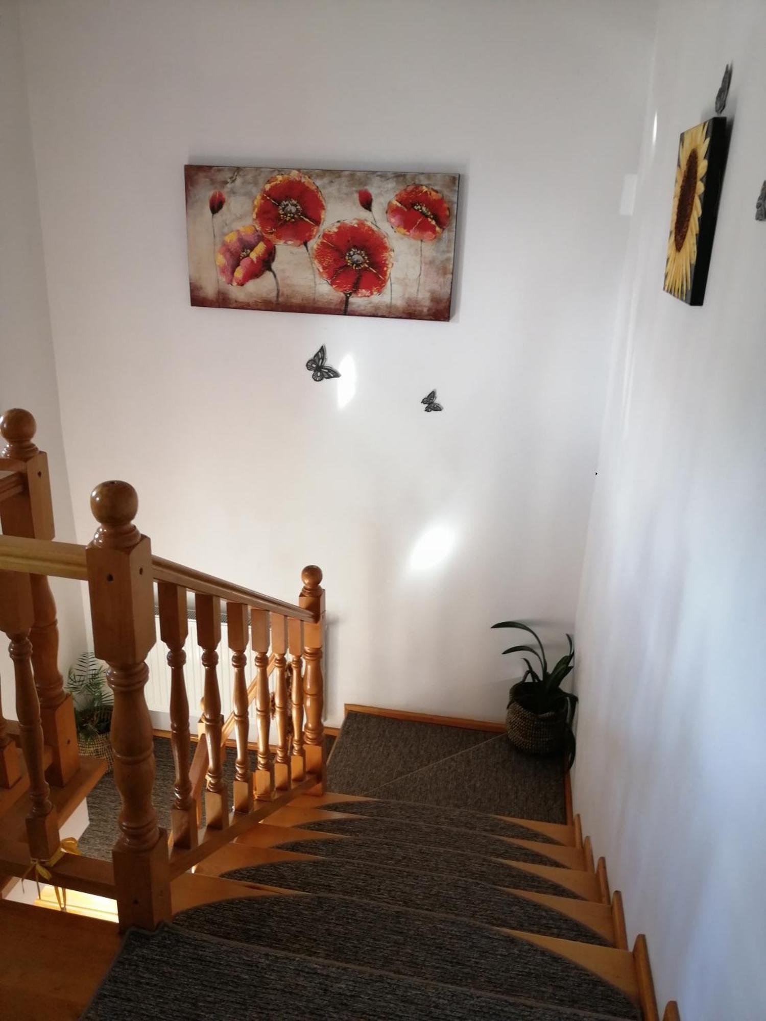 Pensiunea Transilvania Lodge Törcsvár Kültér fotó